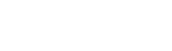 Sport Tasman w