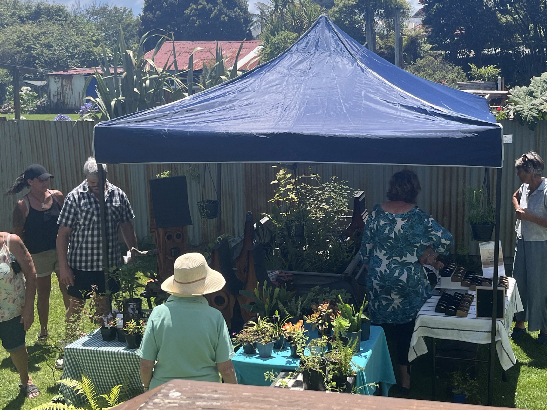 IMG_0982 plant stall-01-01